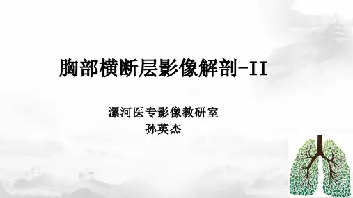胸部横断层面影像解剖-2