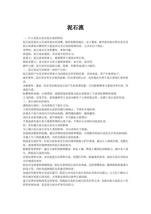 泥石流是什么