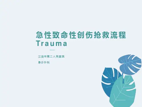急性创伤的诊断、治疗原则及抢救流程