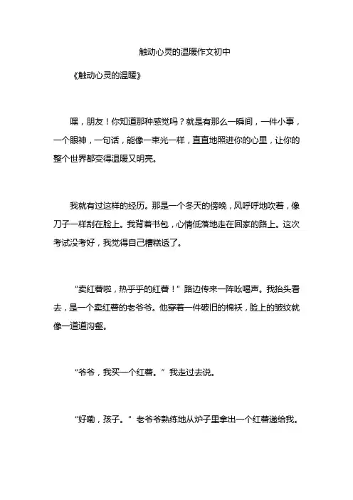 触动心灵的温暖作文初中
