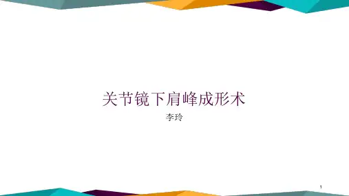 肩关节镜下肩峰成形术PPT演示幻灯片