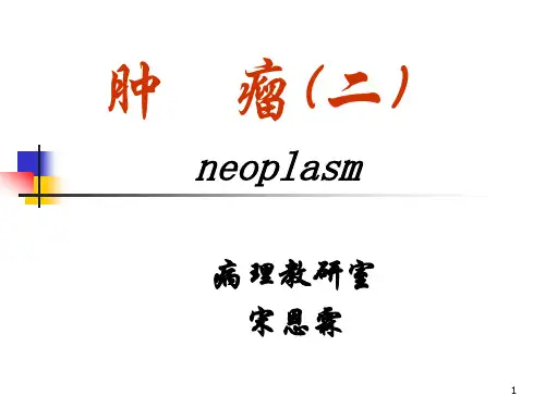 肿    瘤2
