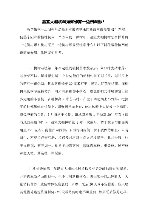 温室大棚桃树如何修剪一边倒树形？
