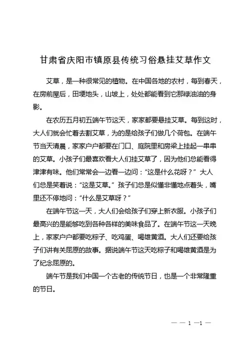 甘肃省庆阳市镇原县传统习俗悬挂艾草作文