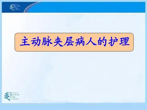 主动脉夹层