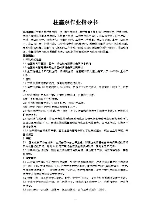 柱塞泵作业指导书