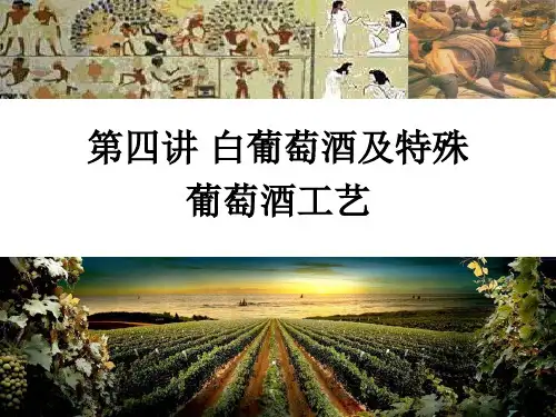 白葡萄酒及特种葡萄酒生产工艺 酿造酒工艺学(课堂PPT)