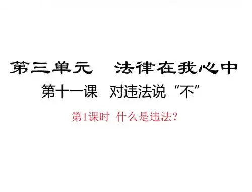 人民版道德与法治八年级上册第十一课第1课时《什么是违法？》ppt课件