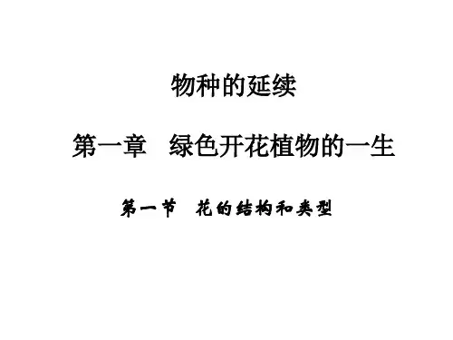 七年级生物花的结构和类型