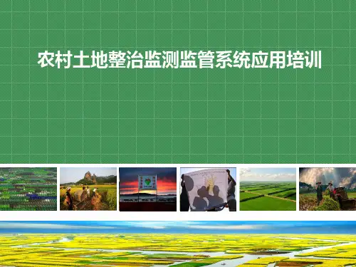 农村土地整治监测监管系统共50页文档