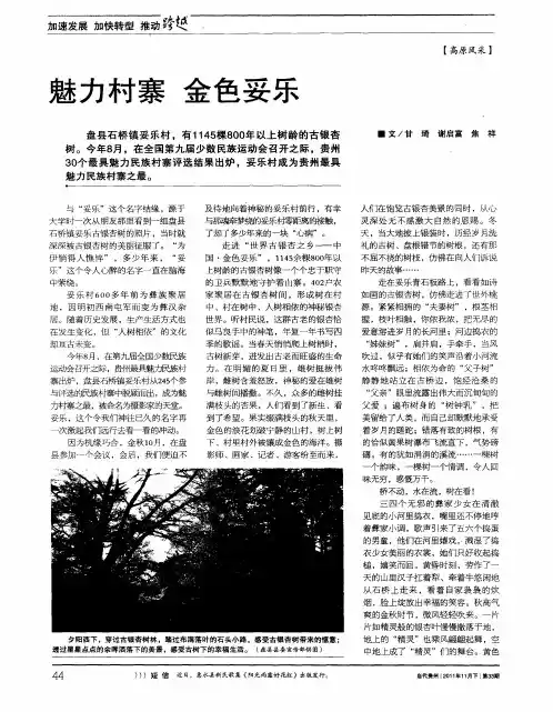 魅力村寨金色妥乐