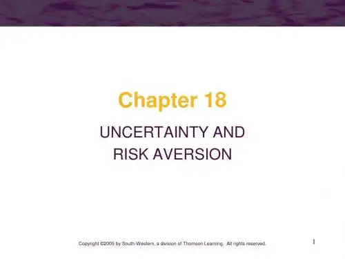 UNCERTAINTY AND(不确定性)尼科尔森中级微观ppt