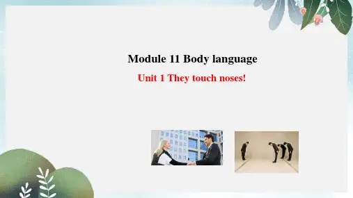 七年级英语下册Module11BodylanguageUnit1Theytouchnoses课件外研版