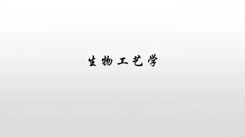 《生物工艺学》基因工程菌的发酵  ppt课件