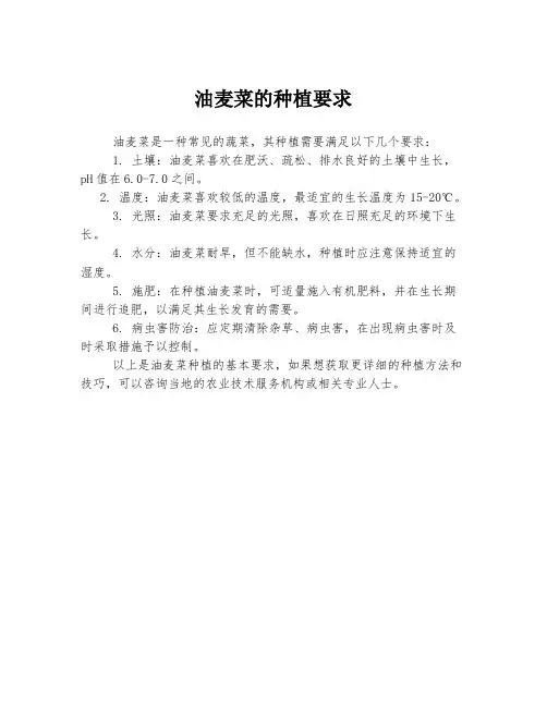 油麦菜的种植要求