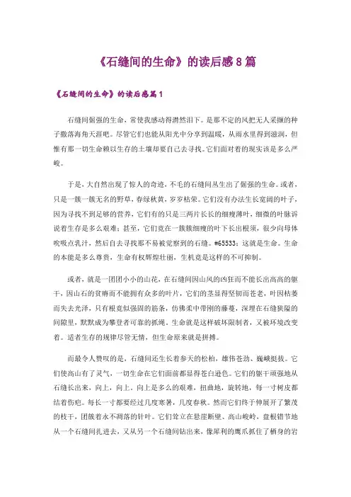 《石缝间的生命》的读后感8篇
