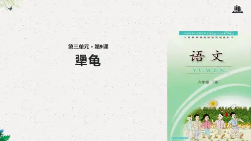 六年级下册语文课件-9犟龟｜鄂教版 (共19张PPT)
