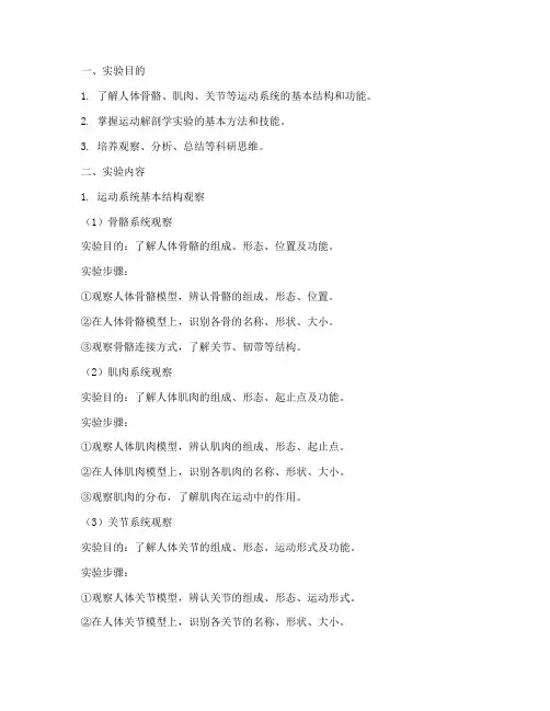 运动解剖学实验报告册