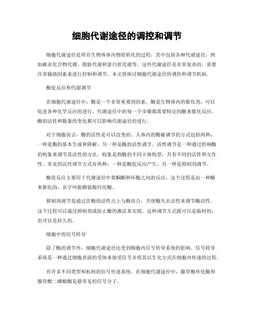 细胞代谢途径的调控和调节