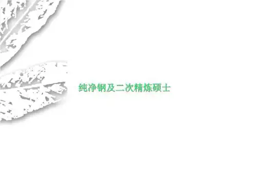 纯净钢及二次精炼硕士