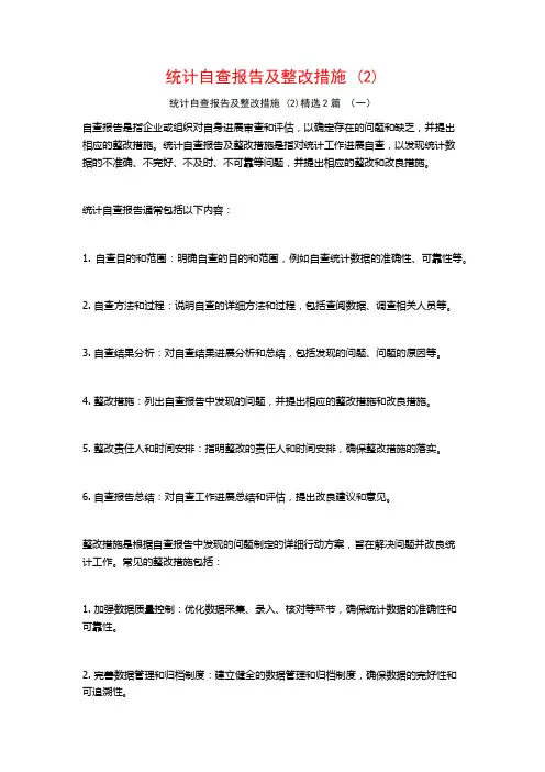 统计自查报告及整改措施2篇