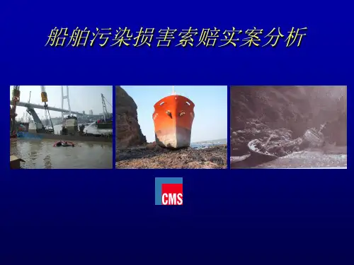 船舶污染损害索赔实案分析案例分析
