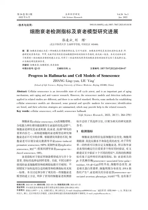 细胞衰老检测指标及衰老模型研究进展