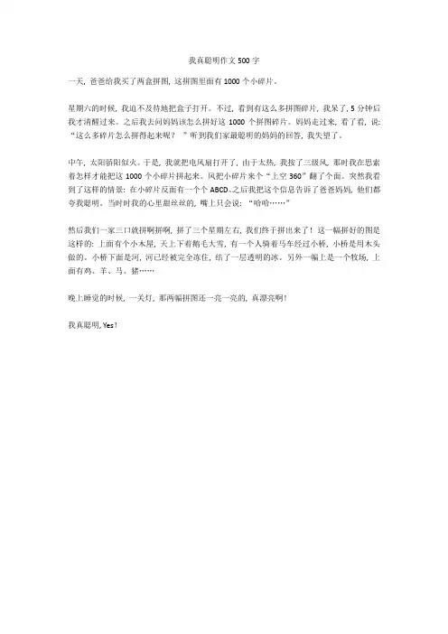 我真聪明作文500字