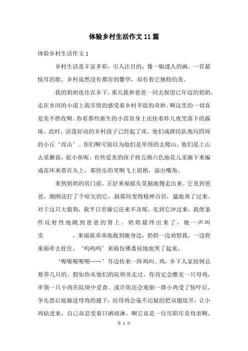 体验乡村生活作文11篇