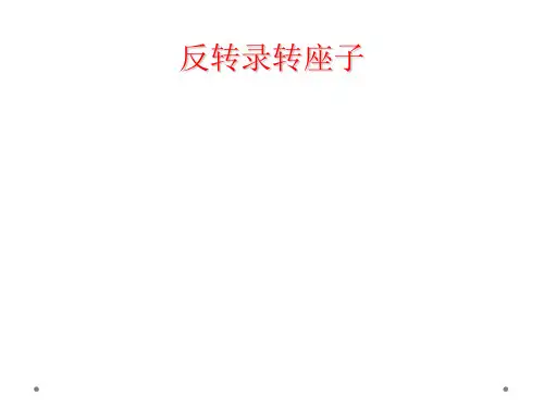 反转录转座子