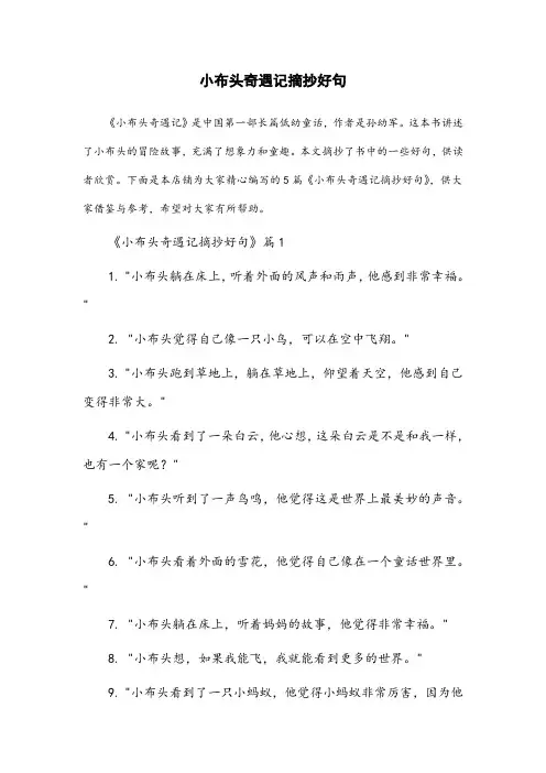 小布头奇遇记摘抄好句