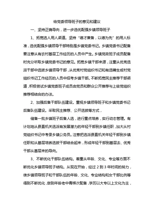 给党委领导班子的意见和建议