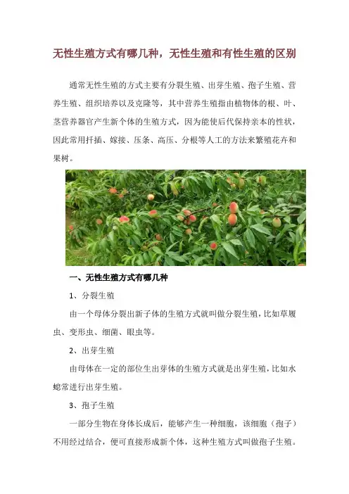 无性生殖方式有哪几种,无性生殖和有性生殖的区别
