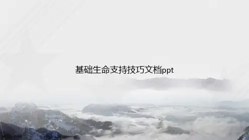 基础生命支持技巧讲课文档