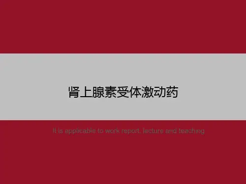 肾上腺素受体激动药
