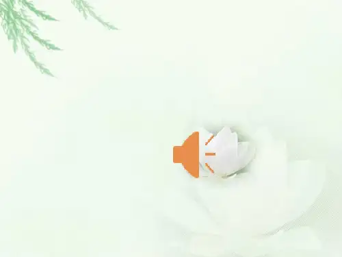 五十六个民族五十六朵花(人教新课标五年级上册)PPT课件