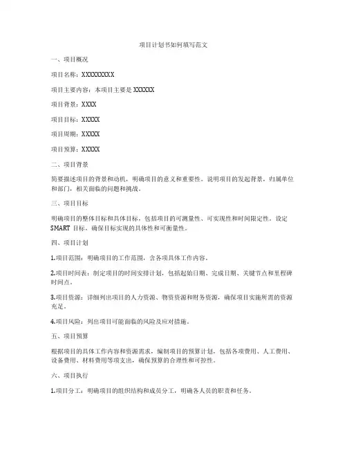 项目计划书如何填写范文