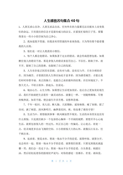人生感悟名句集合40句