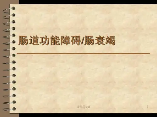 肠道功能衰竭PPT课件
