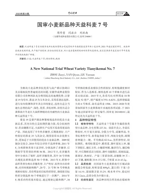国审小麦新品种天益科麦7号