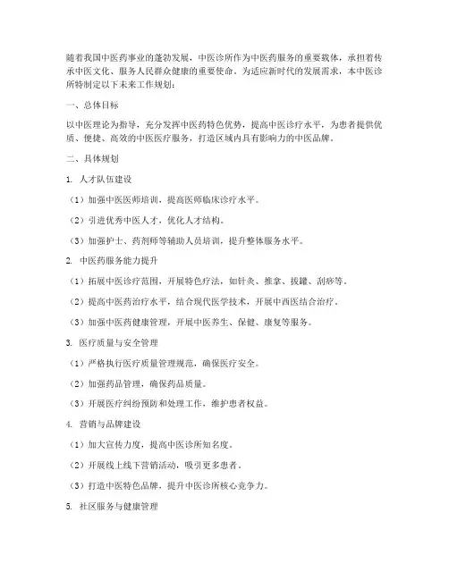 中医诊所未来工作规划