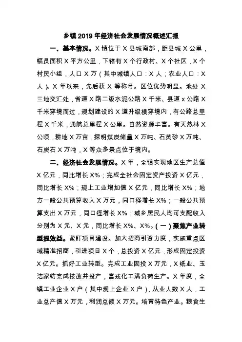 乡镇2019年经济社会发展情况概述汇报