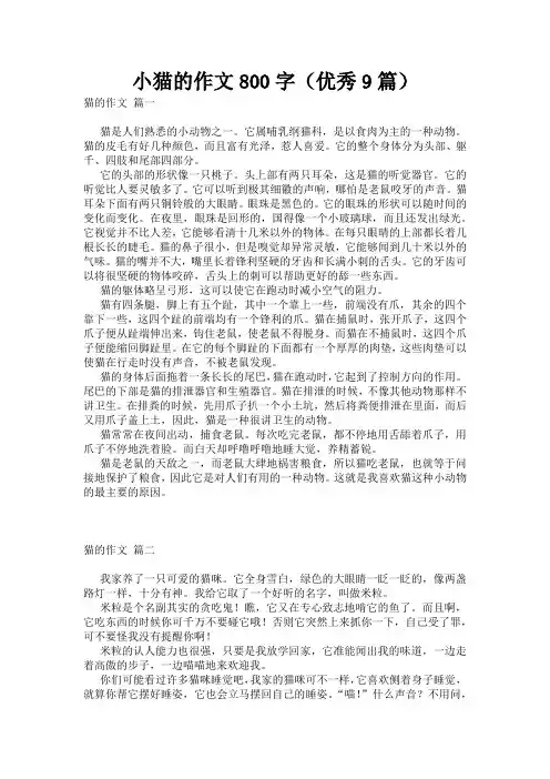 小猫的作文800字(优秀9篇)