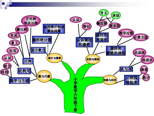 六年级数学知识树