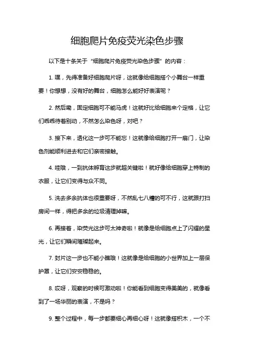 细胞爬片免疫荧光染色步骤