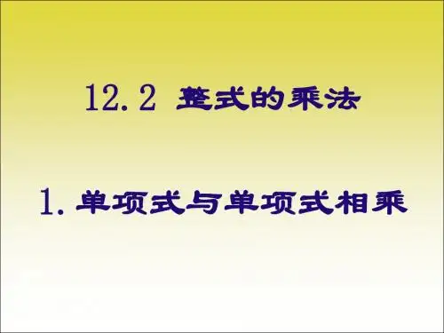 12.2.1单项式乘法公开课课件