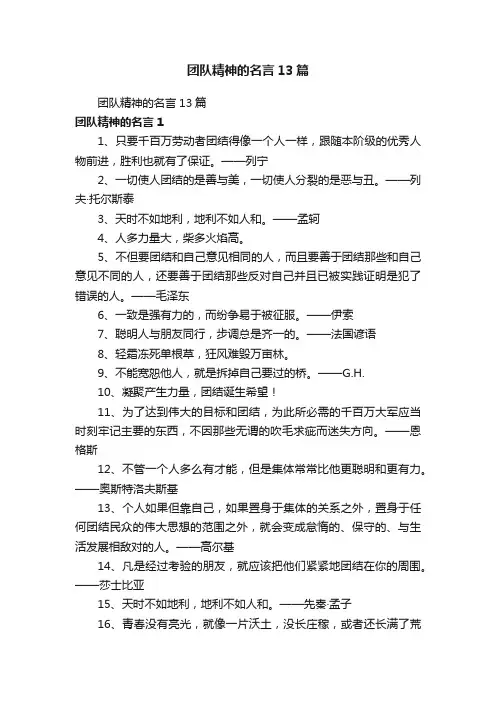 团队精神的名言13篇