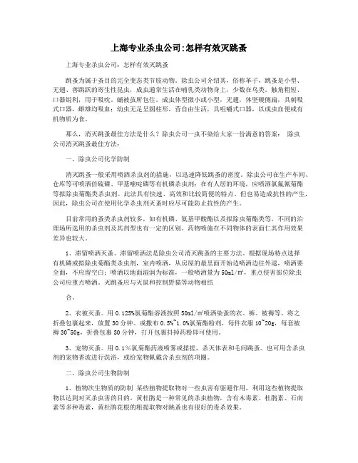 上海专业杀虫公司怎样有效灭跳蚤