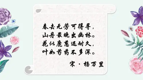 花卉学作业PPT课件