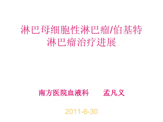 淋巴母细胞性淋巴瘤伯基特淋巴瘤进展(孟凡义)